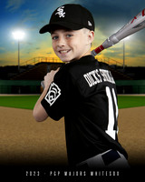 Majors WhiteSox