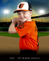 Minors Orioles
