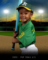 TBALL A's