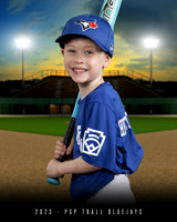 TBALL Bluejays