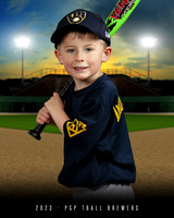 TBALL Brewers