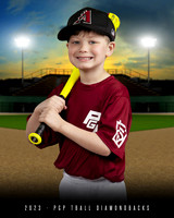TBALL Diamondbacks