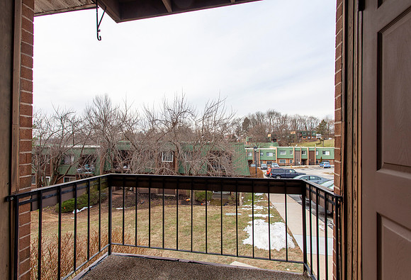 1301-MEADOWVIEW-LANE-MONT-CLARE- (17)