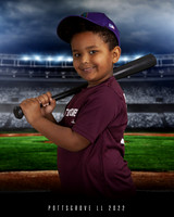 Tball Diamondbacks