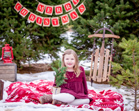 Murphy-Xmas-2018-- (16)