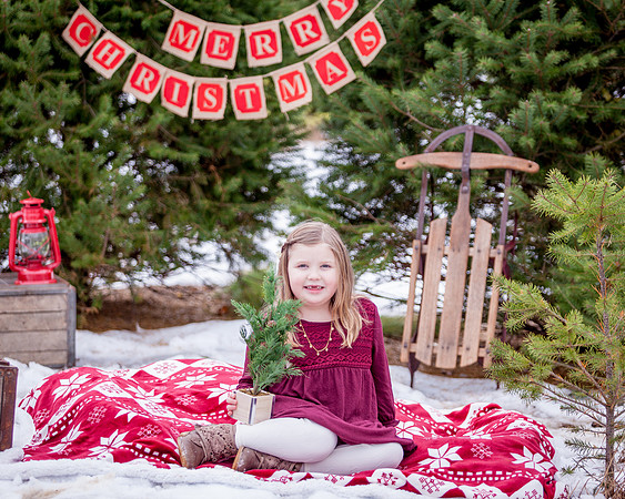 Murphy-Xmas-2018-- (16)