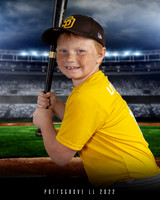 Minors Padres