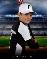 PLOWVILLE 2022