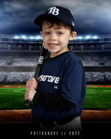 Tball Rays