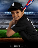 Minors WhiteSox
