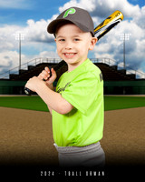 TBALL ORMAN LIME