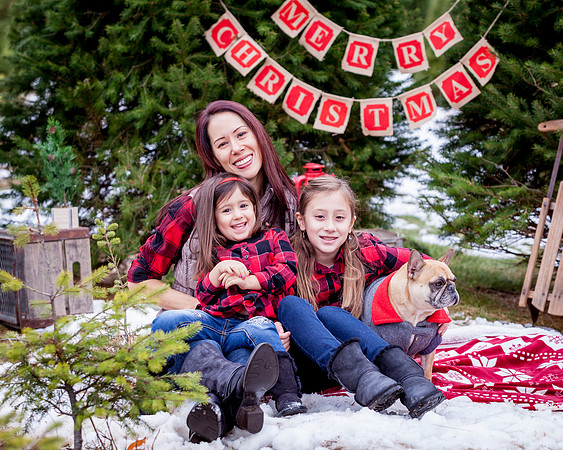 DIARCANGELO-XMAS-2018 (14)