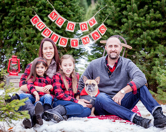 DIARCANGELO-XMAS-2018 (28)