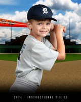 BB INSTR TIGERS