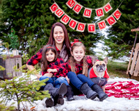 DIARCANGELO-XMAS-2018 (12)