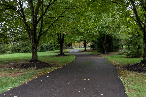 814-HIDDEN-FOREST-DR-COATESVILLE- (21)