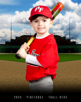 TBALL REDS