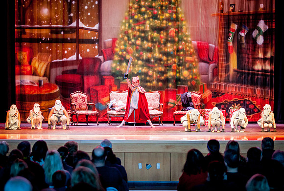 RA-NUTCRACKER-2018-MICE- (12)