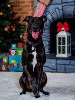 Alyssa-and-Avery-Xmas-2020- (3)