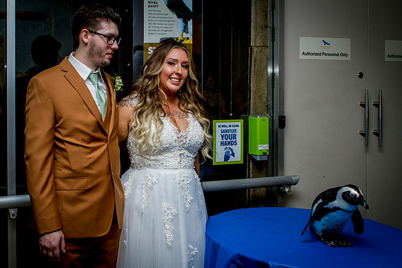 RANDSOM-WEDDING-POST-CEREMONY- (64)