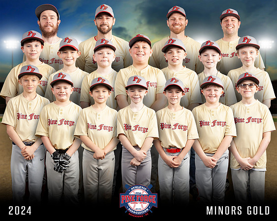TEAM-8X10-MINORS-GOLD-PF2024