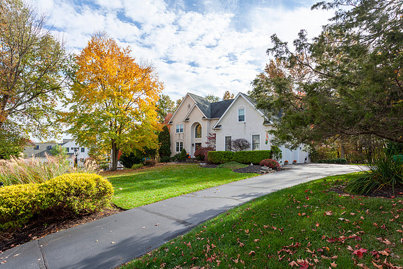 915-RIDGEWAY-LANE-AMBLER-OCT2019- (4)