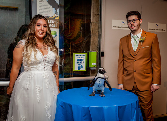 RANDSOM-WEDDING-POST-CEREMONY- (56)