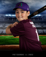 Minors Diamondbacks