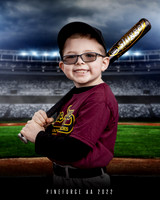 Tball Diamondbacks