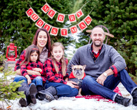DIARCANGELO-XMAS-2018 (6)