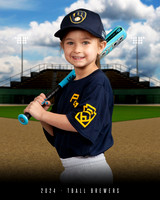 TBALL BREWERS