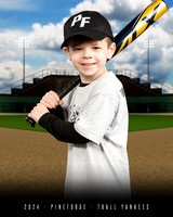 TBALL YANKEES