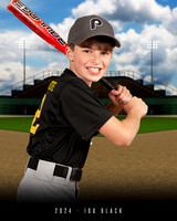 PLOWVILLE 2024