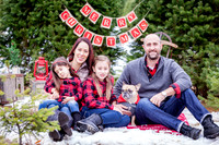 DIARCANGELO-XMAS-2018 (5)