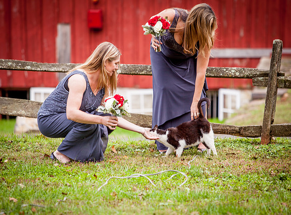 MARTIN-WEDDING- (22)