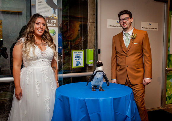 RANDSOM-WEDDING-POST-CEREMONY- (57)
