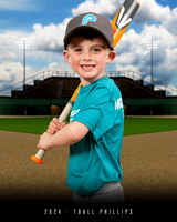 TBALL PHILLIPS BLUE