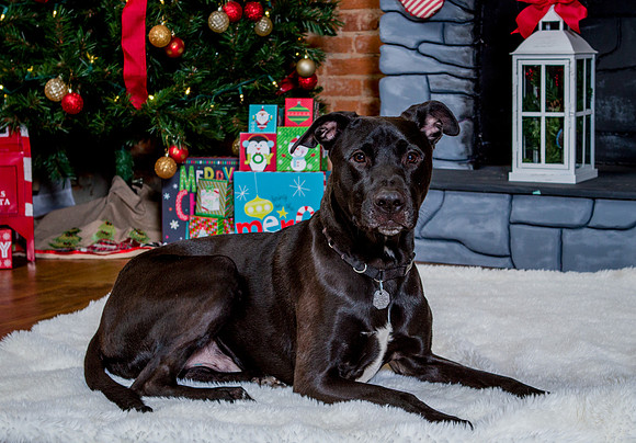 Alyssa-and-Avery-Xmas-2020- (1)